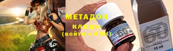 стаф Аркадак