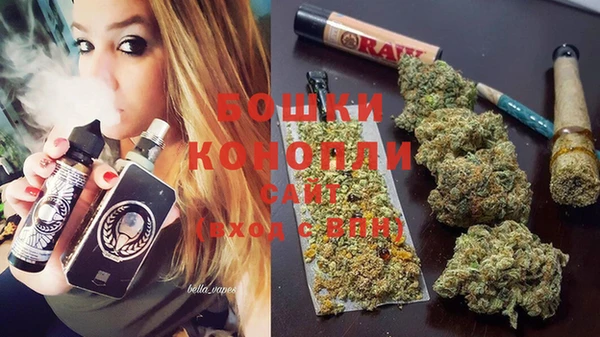 стаф Аркадак