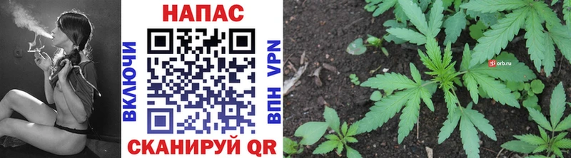 Бошки Шишки OG Kush  Чайковский 
